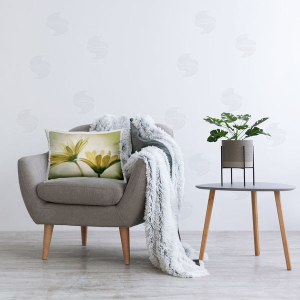 Stupell Industries Massimo Valli | Soft Daisies Close Up