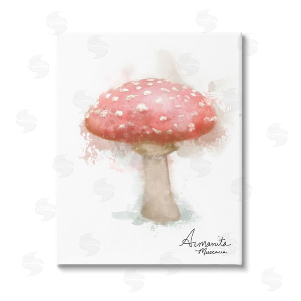 stupell industries Matthew Piotrowicz | Abstract Amanita Mushroom Wall Art