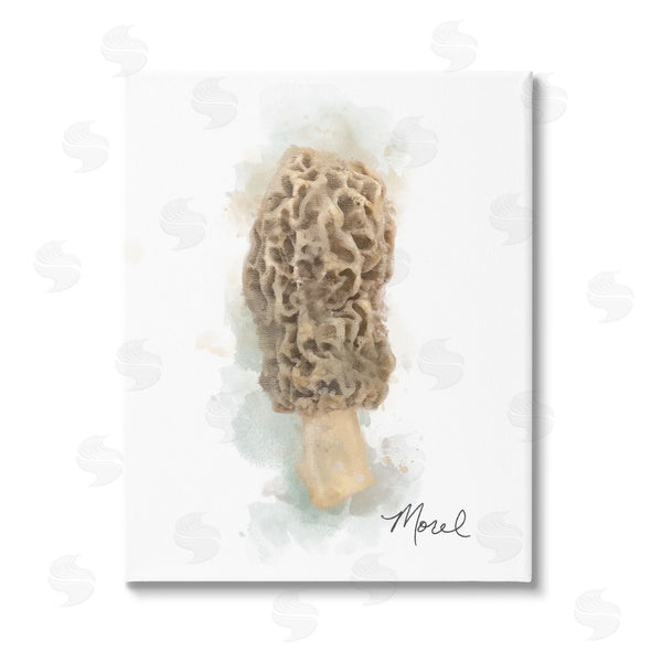stupell industries Matthew Piotrowicz | Abstract Morel Mushroom Wall Art