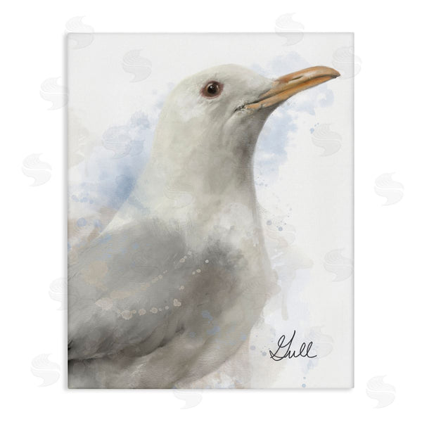 stupell industries Matthew Piotrowicz | Coastal Seagull Portrait