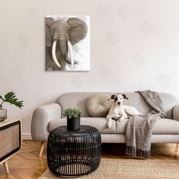Stupell Industries Matthew Piotrowicz | Elephant & Modern Splash Wall Art