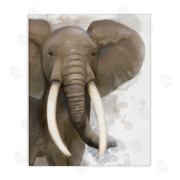 stupell industries Matthew Piotrowicz | Elephant & Modern Splash Wall Art