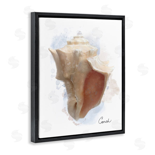 Stupell Industries Matthew Piotrowicz | Honeybloom Coastal Conch