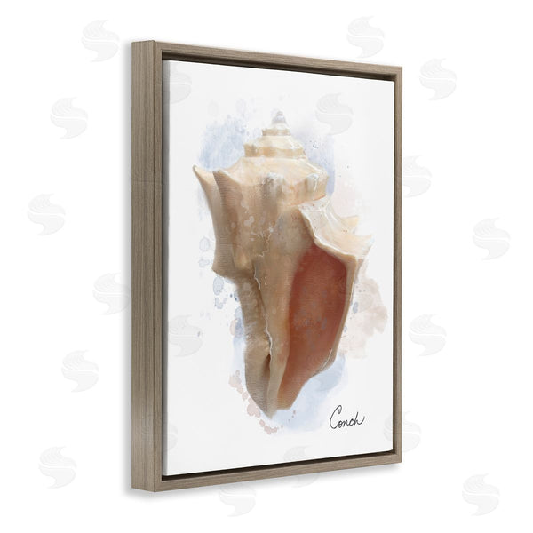 Stupell Industries Matthew Piotrowicz | Honeybloom Coastal Conch