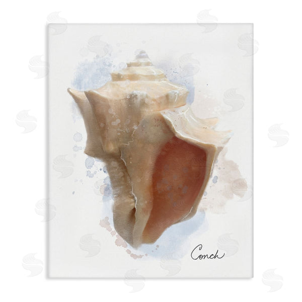 stupell industries Matthew Piotrowicz | Honeybloom Coastal Conch