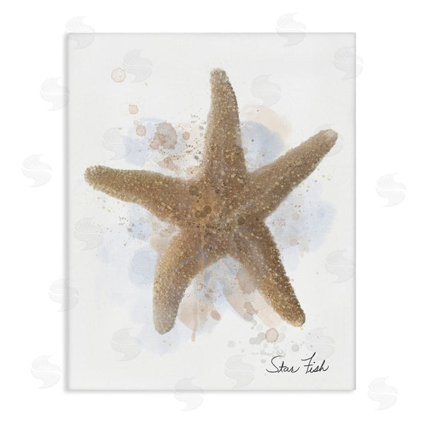 stupell industries Matthew Piotrowicz | Honeybloom Coastal Starfish