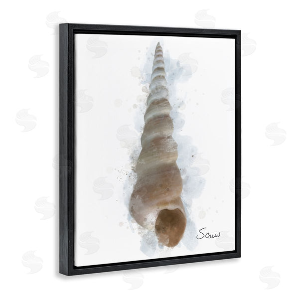 Stupell Industries Matthew Piotrowicz | Honeybloom Turritella Shell