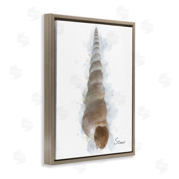 Stupell Industries Matthew Piotrowicz | Honeybloom Turritella Shell