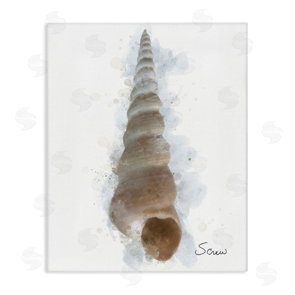 stupell industries Matthew Piotrowicz | Honeybloom Turritella Shell