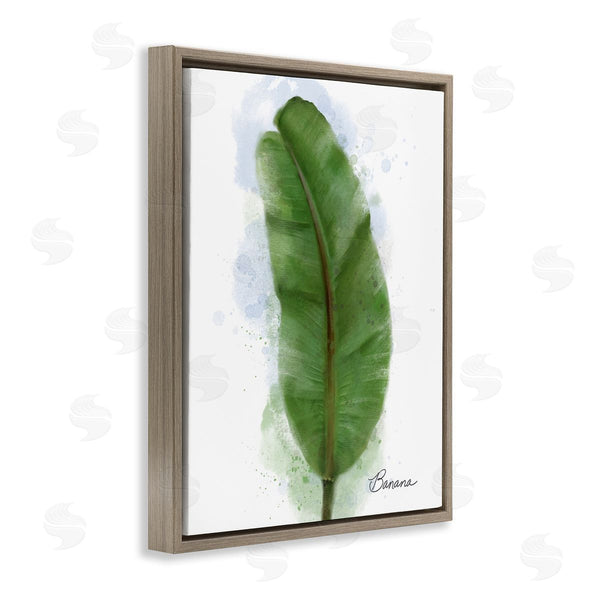 Stupell Industries Matthew Piotrowicz | Modern Banana Plant Leaf