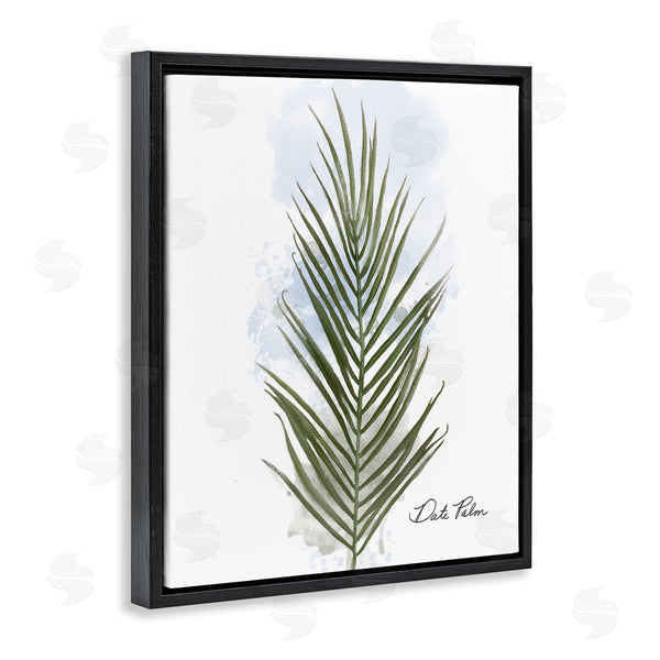 Stupell Industries Matthew Piotrowicz | Modern Date Palm Leaf
