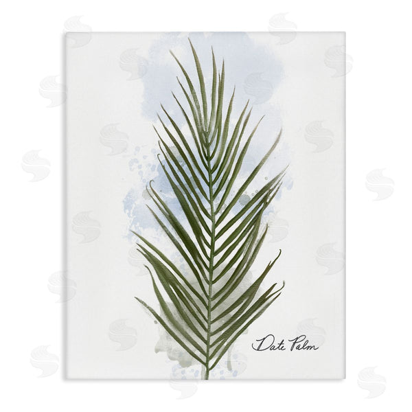 stupell industries Matthew Piotrowicz | Modern Date Palm Leaf