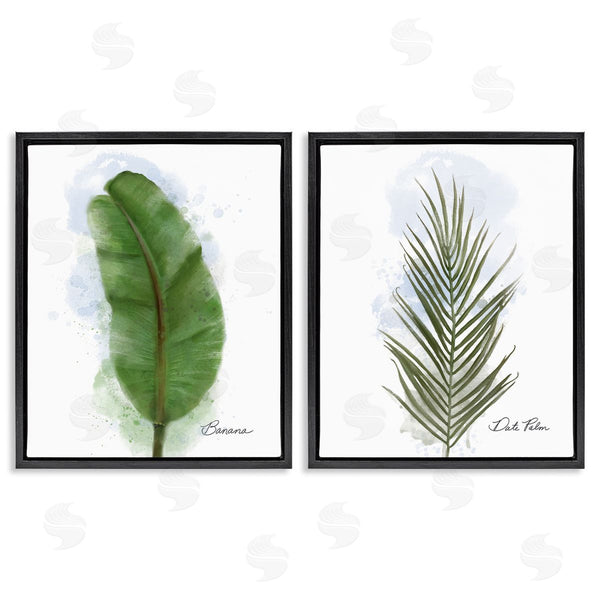 Stupell Industries Matthew Piotrowicz | Modern Fruit Leaves