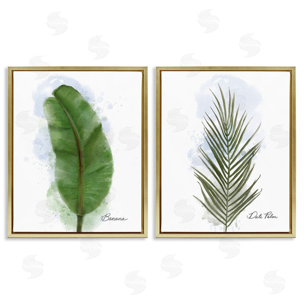 Stupell Industries Matthew Piotrowicz | Modern Fruit Leaves