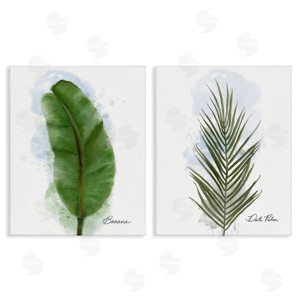 stupell industries Matthew Piotrowicz | Modern Fruit Leaves