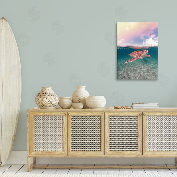 Stupell Industries Max Blakesberg Studios | Above & Below Sea Turtle Wall Art