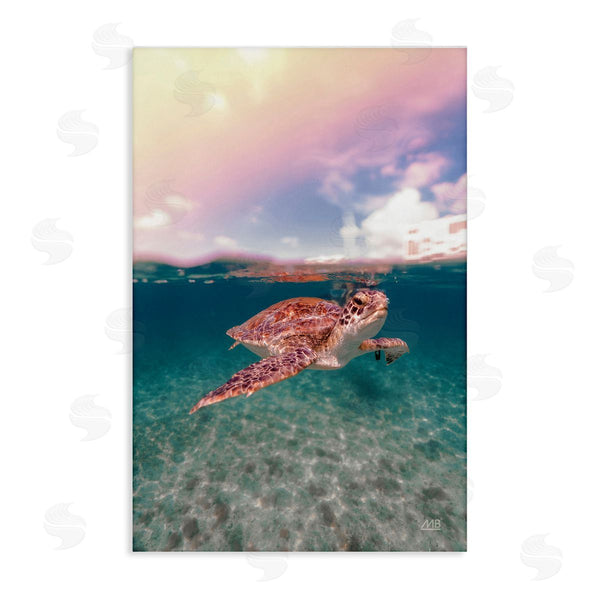 stupell industries Max Blakesberg Studios | Above & Below Sea Turtle Wall Art