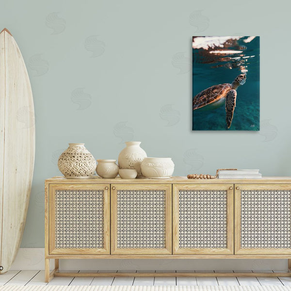 Stupell Industries Max Blakesberg Studios | Blowing Bubbles Turtle Wall Art