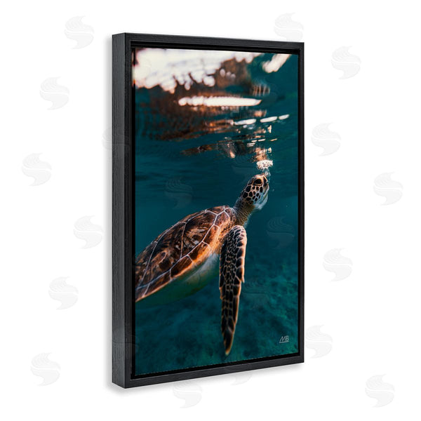 Stupell Industries Max Blakesberg Studios | Blowing Bubbles Turtle Wall Art