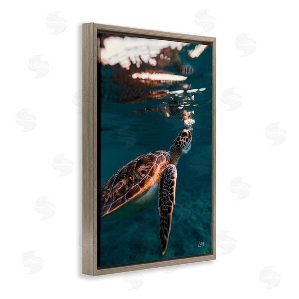 Stupell Industries Max Blakesberg Studios | Blowing Bubbles Turtle Wall Art