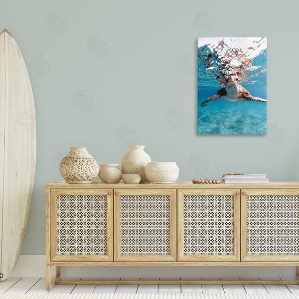 Stupell Industries Max Blakesberg Studios | Hello Sea Turtle Splash Wall Art