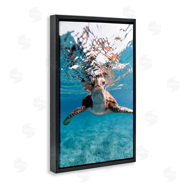 Stupell Industries Max Blakesberg Studios | Hello Sea Turtle Splash Wall Art