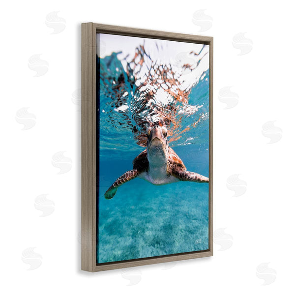 Stupell Industries Max Blakesberg Studios | Hello Sea Turtle Splash Wall Art