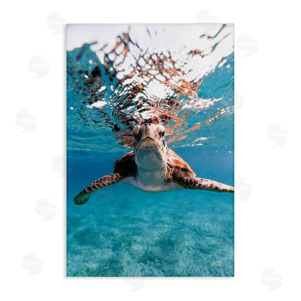 stupell industries Max Blakesberg Studios | Hello Sea Turtle Splash Wall Art