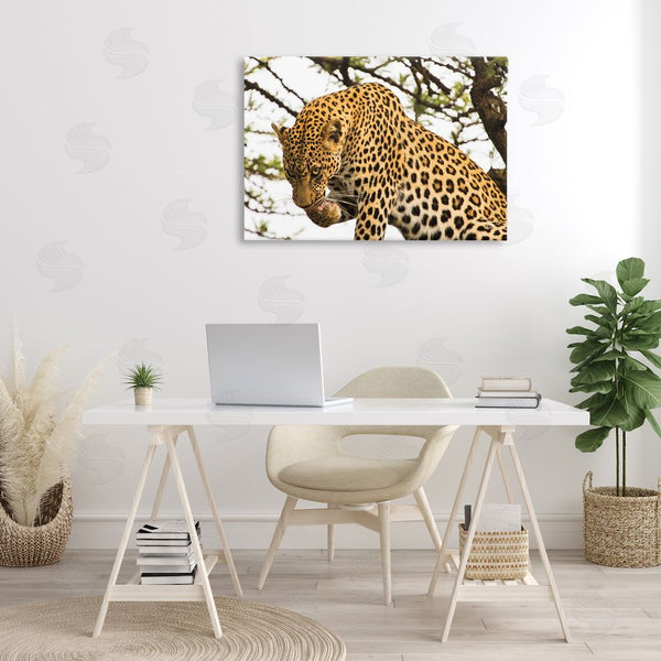 Stupell Industries Max Blakesberg Studios | Leopard After Lunch Wall Art