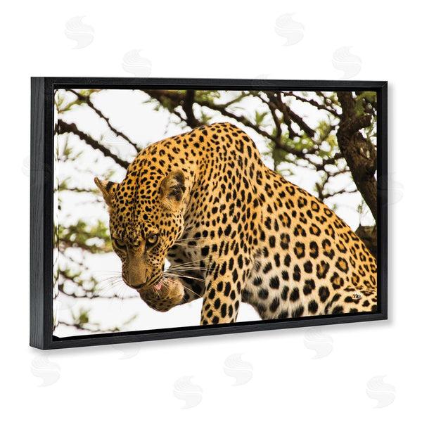 Stupell Industries Max Blakesberg Studios | Leopard After Lunch Wall Art