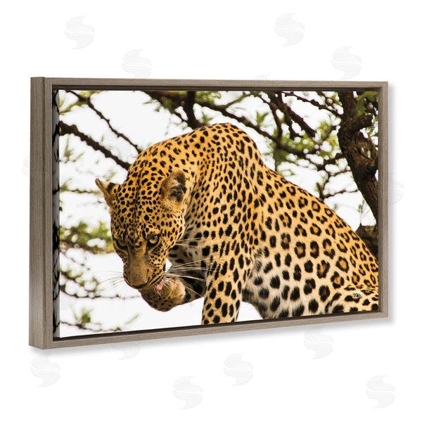 Stupell Industries Max Blakesberg Studios | Leopard After Lunch Wall Art