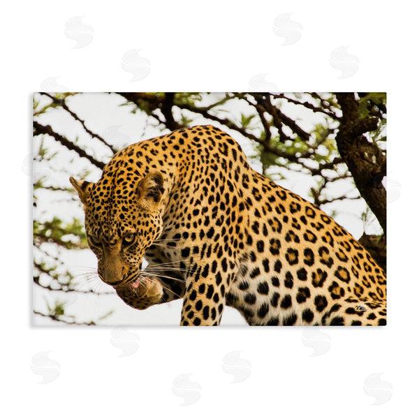 stupell industries Max Blakesberg Studios | Leopard After Lunch Wall Art