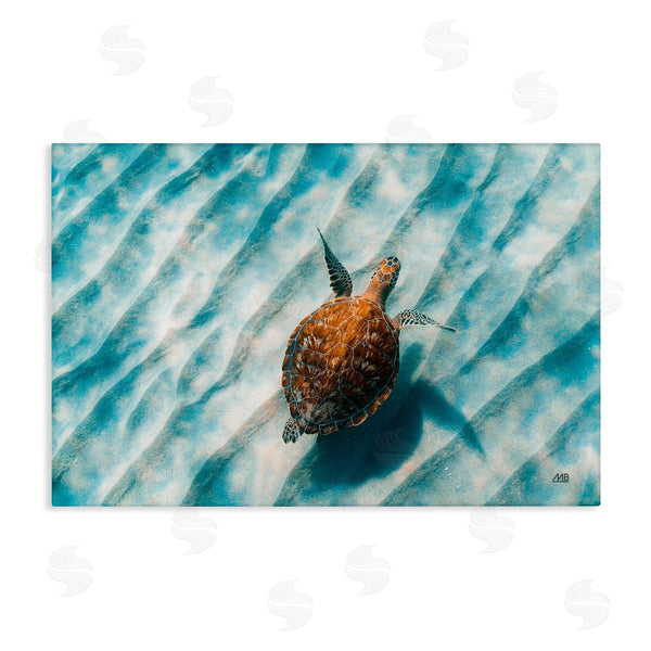 stupell industries Max Blakesberg Studios | Sandbar Sea Turtle Wall Art