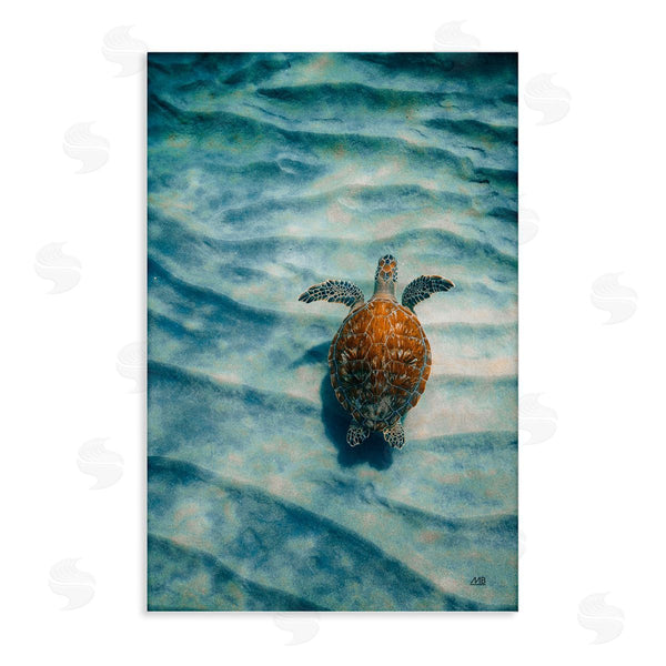 stupell industries Max Blakesberg Studios | Turtle Along Rippling Sand