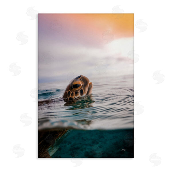 stupell industries Max Blakesberg Studios | Turtle Swim at Sunrise