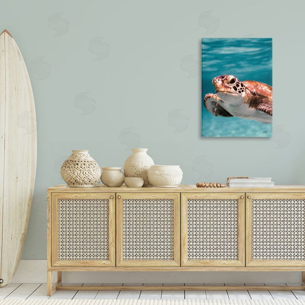 Stupell Industries Max Blakesberg Studios | Underwater Sea Turtle Swim Wall Art