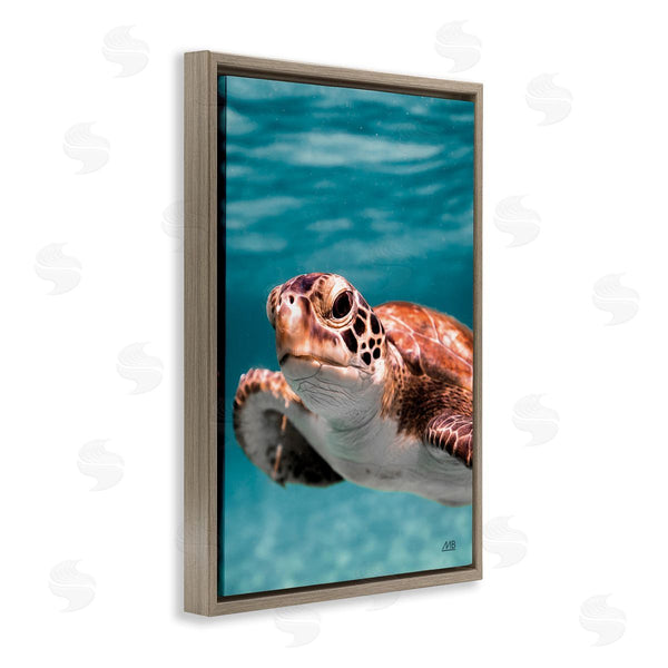 Stupell Industries Max Blakesberg Studios | Underwater Sea Turtle Swim Wall Art