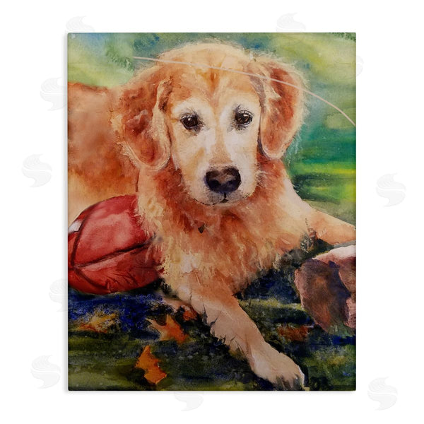 stupell industries MB Cunningham | Retriever Dog with Football Wall Art