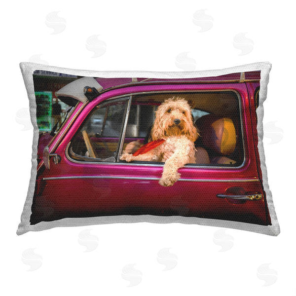 Stupell Industries Mehmet Asian | Dog Driving Antique Car