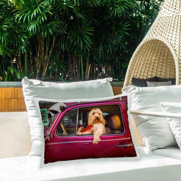 Stupell Industries Mehmet Asian | Dog Driving Antique Car