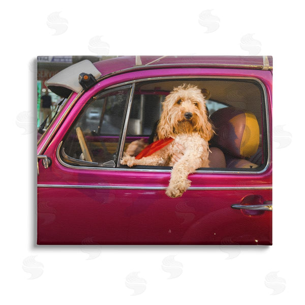 stupell industries Mehmet Asian | Funny Chauffeur Dog Wall Art