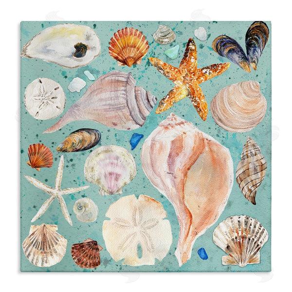 stupell industries Melissa Hyatt | Seashell Puzzle Pattern