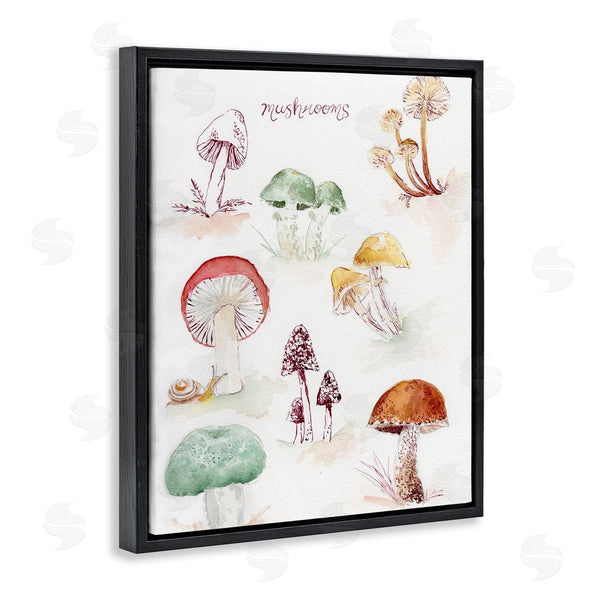 Stupell Industries Melissa Hyatt | Types Of Mushrooms
