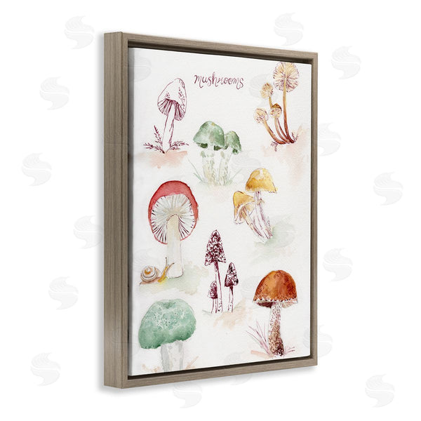 Stupell Industries Melissa Hyatt | Types Of Mushrooms