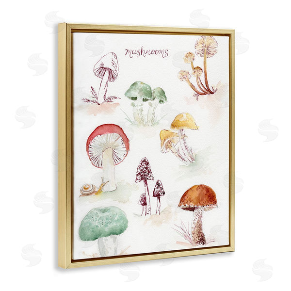 Stupell Industries Melissa Hyatt | Types Of Mushrooms