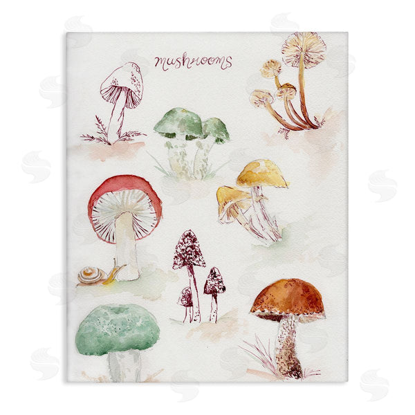 stupell industries Melissa Hyatt | Types Of Mushrooms