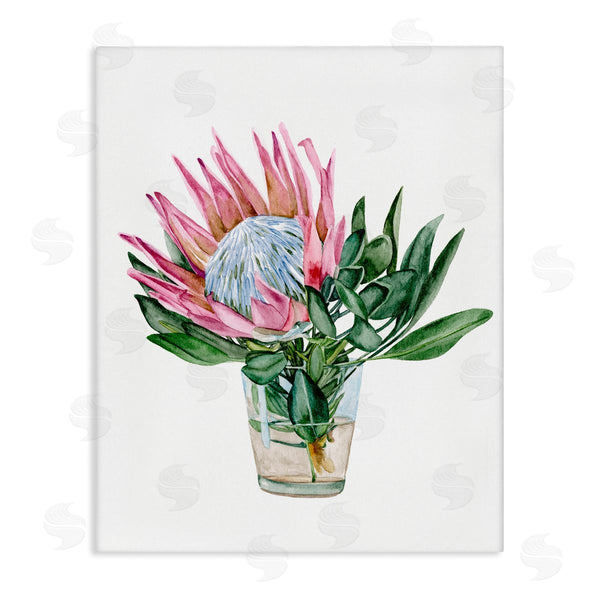 stupell industries Melissa Wang | Blushing Protea Flower Glass Watercolor Flower Still Life Wall Art