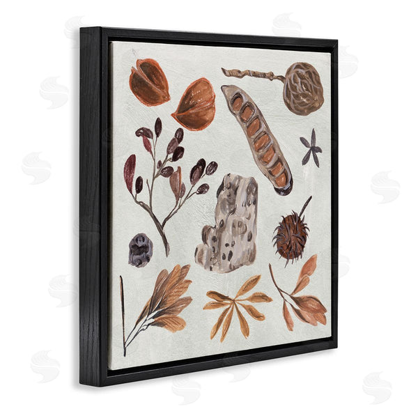 Stupell Industries Melissa Wang | Brown Seed Leaf Nut Botanicals Nature Wall Art