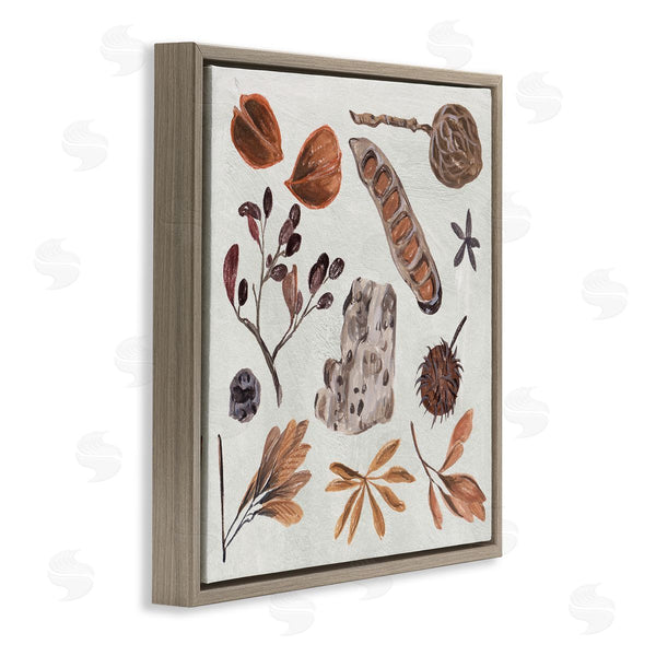Stupell Industries Melissa Wang | Brown Seed Leaf Nut Botanicals Nature Wall Art