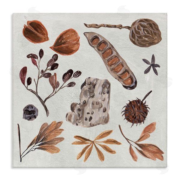 stupell industries Melissa Wang | Brown Seed Leaf Nut Botanicals Nature Wall Art
